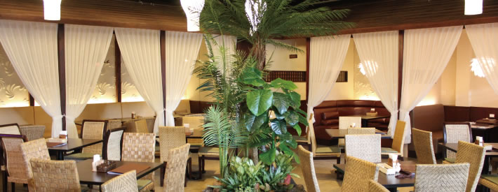 アダニーのこだわり